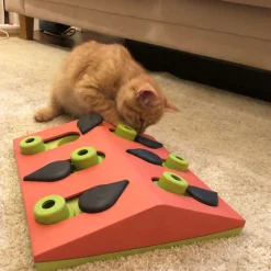 Nina Ottosson Puzzle and Play - Melon Madness