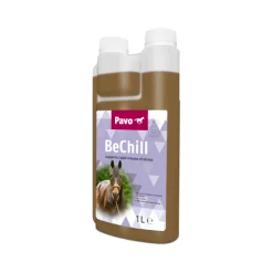 Pavo BeChill
