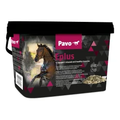 Pavo Eplus