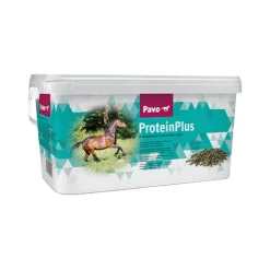 Pavo ProteinPlus
