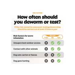 Pezz Test PCR per Vermi per Cane