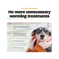 Pezz Test PCR per Vermi per Cane