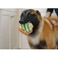 P.L.A.Y. Barking Brunch - Tostada Avo-doggo