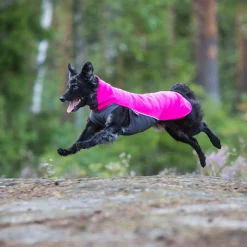 Pomppa Jumppa