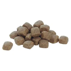 Purina Pro Plan Dog - Medium & Large - 7+ Adult
