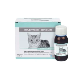 ReConvales Tonicum Gatto