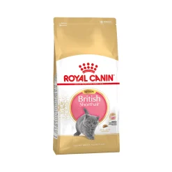 Royal Canin British Shorthair Kitten - Cibo per Gatti