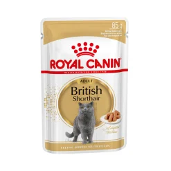 Royal Canin British Shorthair Adult Wet - Cibo per Gatti
