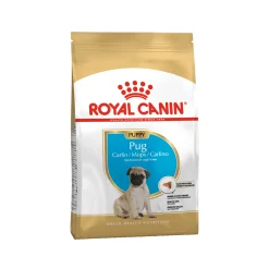 Royal Canin Cucciolo di Carlino - Cibo per Cani