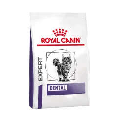 Royal Canin Dental Cibo per Gatti