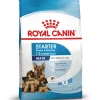 Royal Canin Maxi Starter Mother & Babydog - Cibo per cani