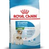 Royal Canin Mini Starter Mother & Babydog - Cibo per Cani