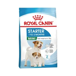 Royal Canin Mini Starter Mother & Babydog - Cibo per Cani