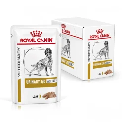 Royal Canin S/O Urinary Ageing 7+ Wet Cane