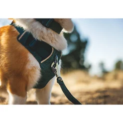 Ruffwear Front Range Flex Harness
