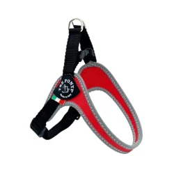 Tre Ponti Fibbia Basic Riflessione
