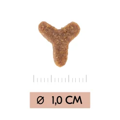 Vetality Gastrointestinal - Cibo per Gatti