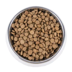 Vetality Gastrointestinal Low Fat - Cibo per cani