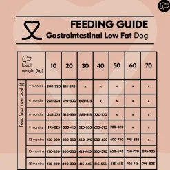 Vetality Gastrointestinal Low Fat - Cibo per cani