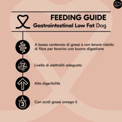 Vetality Gastrointestinal Low Fat - Cibo per cani