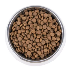Vetality Hypoallergenic - Cibo per Cani