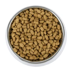 Vetality Weight Management - Cibo per Cani