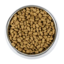 Vetality Weight Management - Cibo per Cani