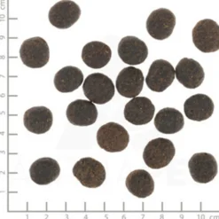 Wolfsblut VetLine Joint Care - Cibo per Cani